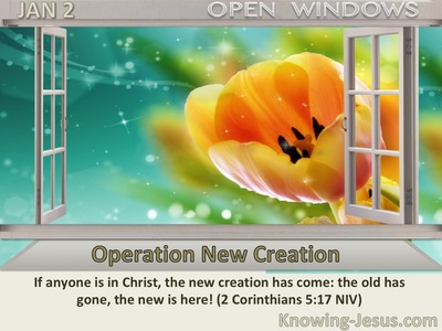 Operation New Creation
